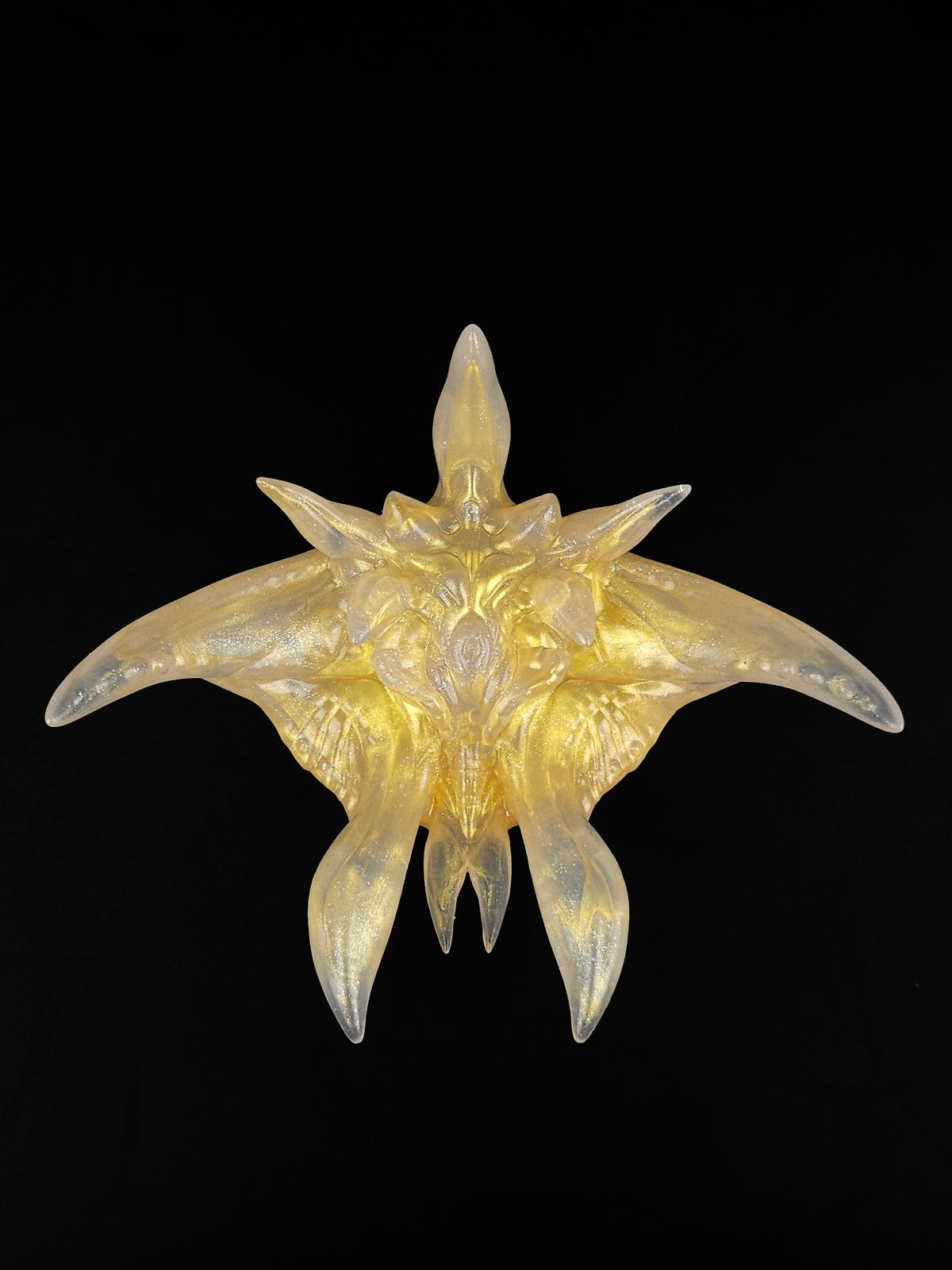 「Comet-orchid STAR FISH」Flowers of Throns, Soaring and Fleshly, Grinder