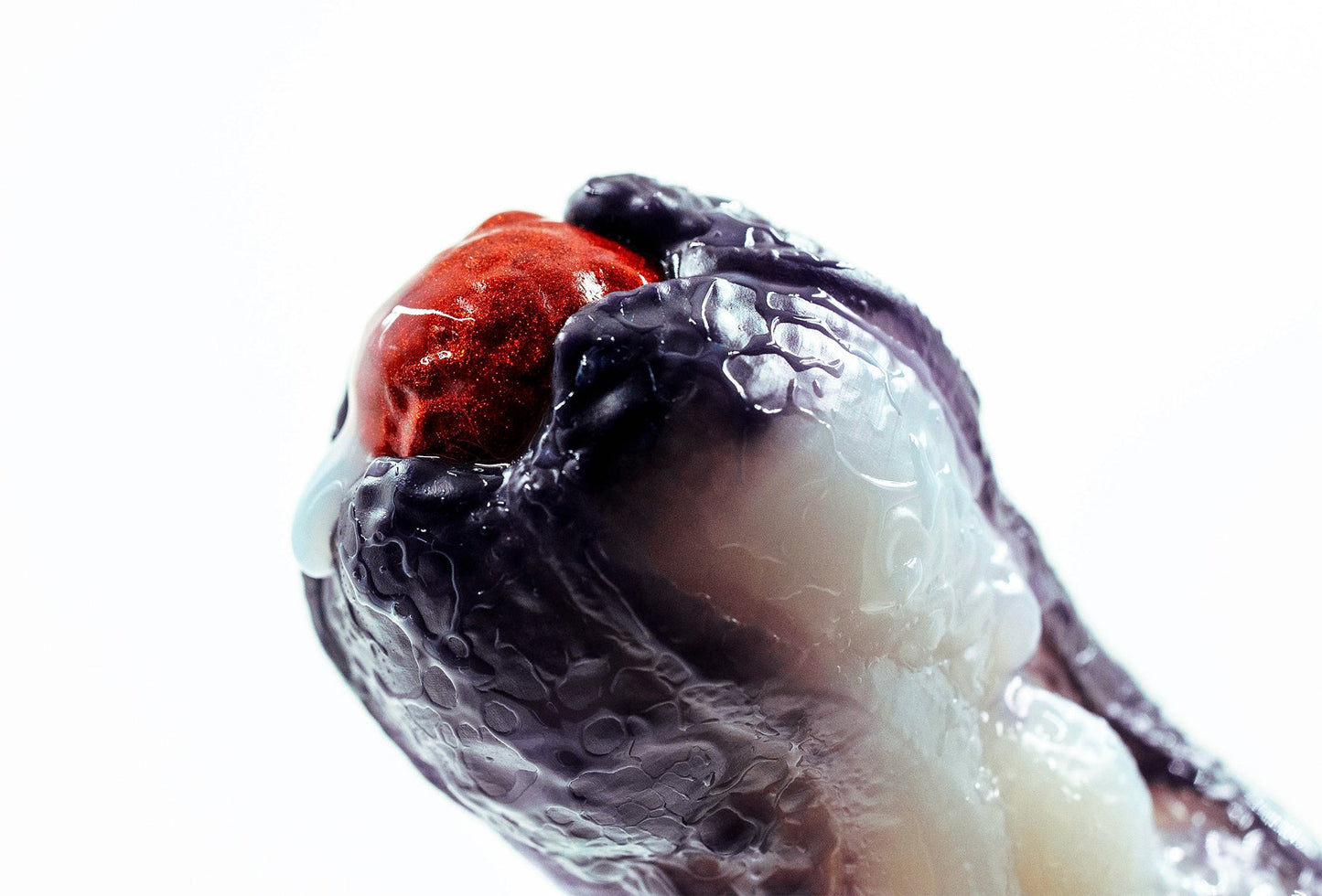 「BLOOD MOON」Ovipositor, Xenomorph Eggs, Cthulhu, Serpentine Tentacles, Flesh Blood & Tumor