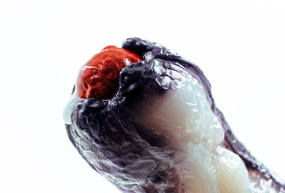 「BLOOD MOON」Ovipositor, Xenomorph Eggs, Cthulhu, Serpentine Tentacles, Flesh Blood & Tumor