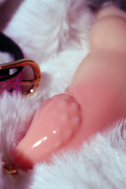 「Silby」The New Fox, Bonded Collar, Strap-on, Dog Knot, Beloved Beast