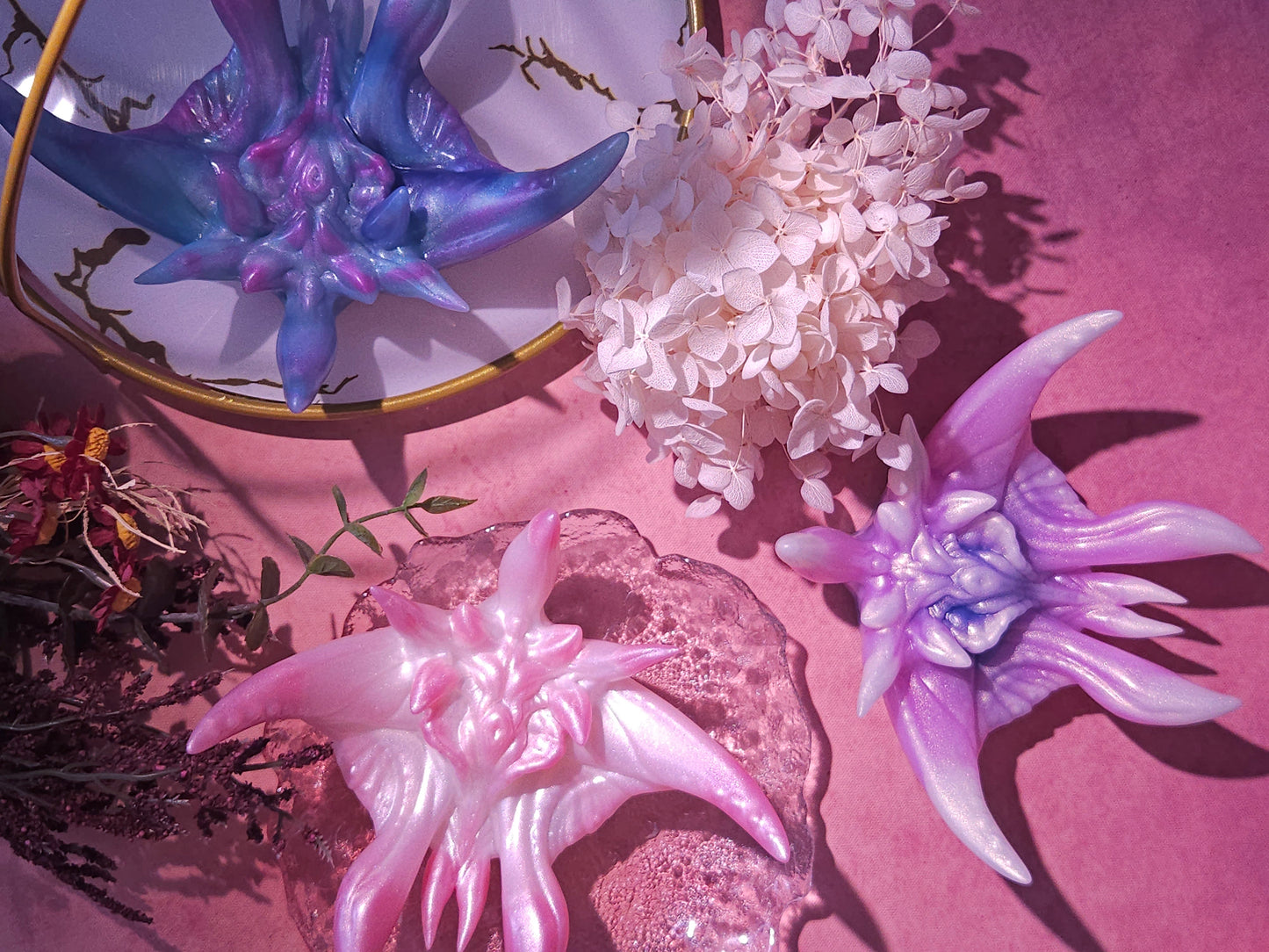 「Comet-orchid STAR FISH」Flowers of Throns, Soaring and Fleshly, Grinder