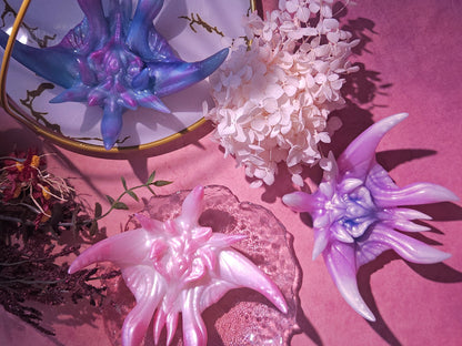 「Comet-orchid STAR FISH」Flowers of Throns, Soaring and Fleshly, Grinder