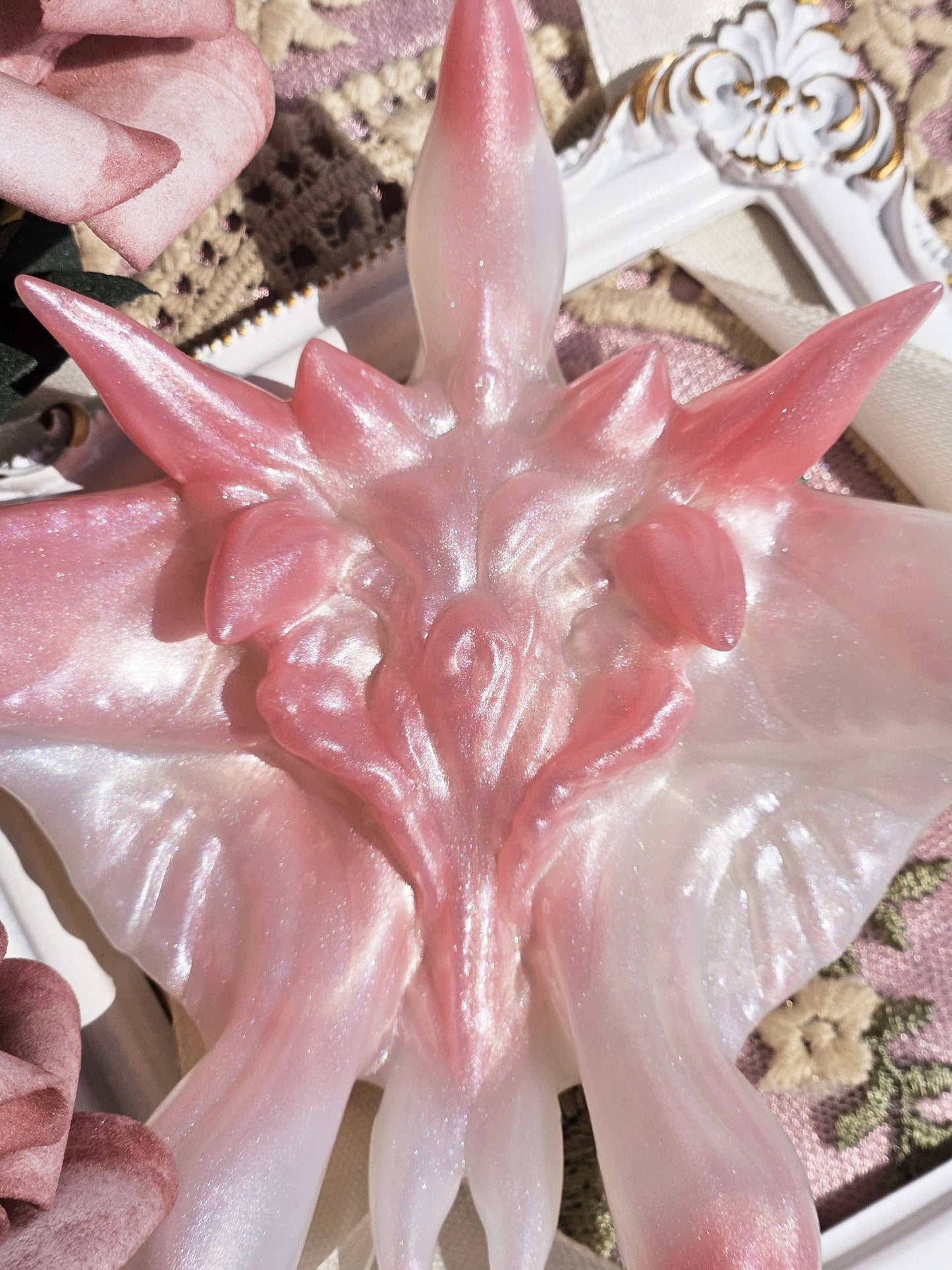 「Comet-orchid STAR FISH」Flowers of Throns, Soaring and Fleshly, Grinder