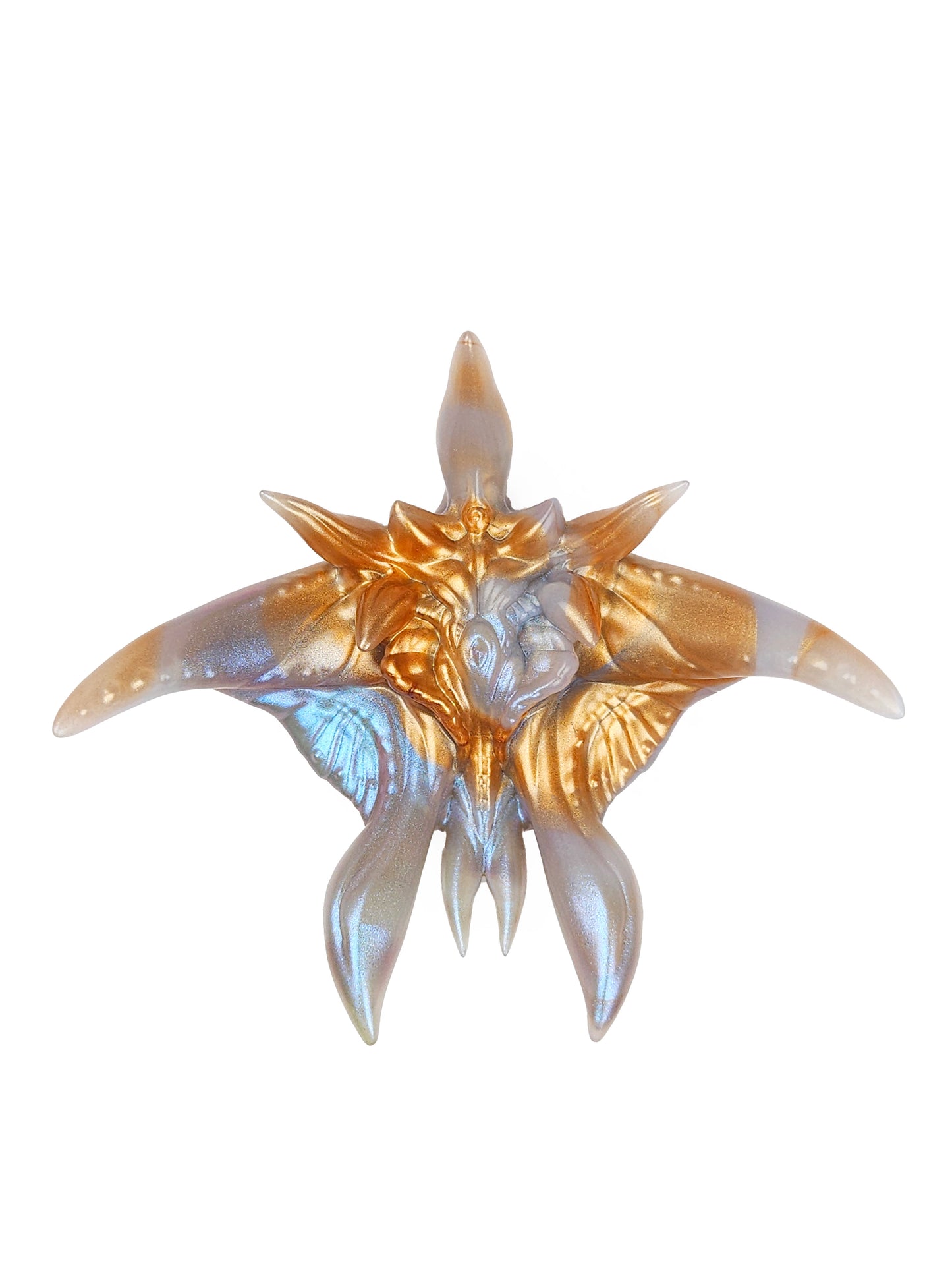「Comet-orchid STAR FISH」Flowers of Throns, Soaring and Fleshly, Grinder