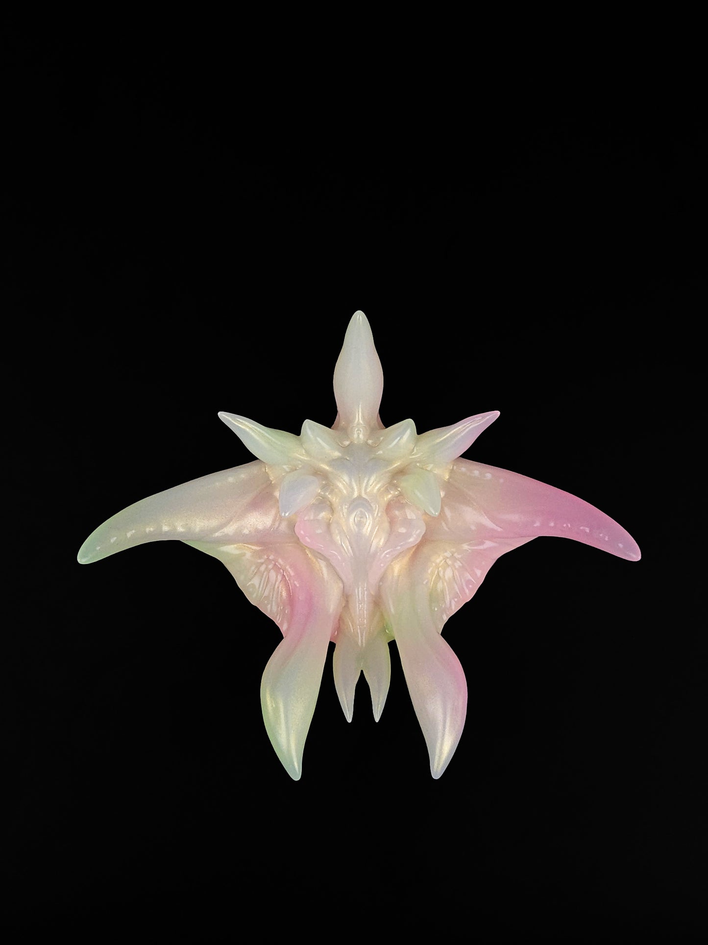 「Comet-orchid STAR FISH」Flowers of Throns, Soaring and Fleshly, Grinder
